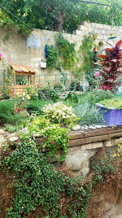 Nata Host Old Tbilisi Διαμέρισμα Εξωτερικό φωτογραφία